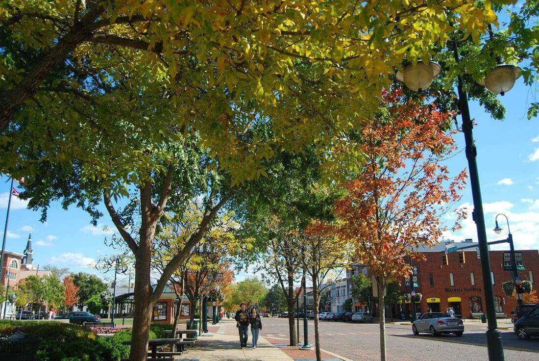A sidewalk with a tree in the foreground.