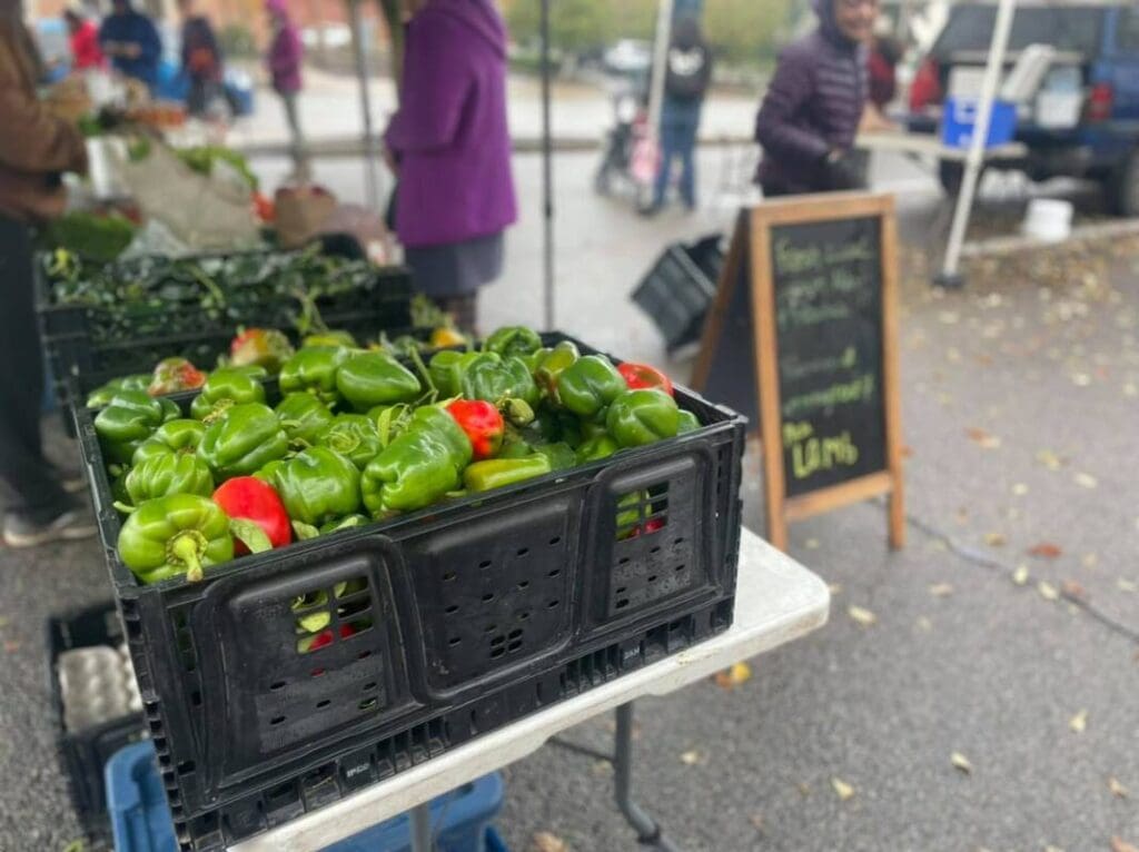 Crates of peppers on a table at an outdoor market.