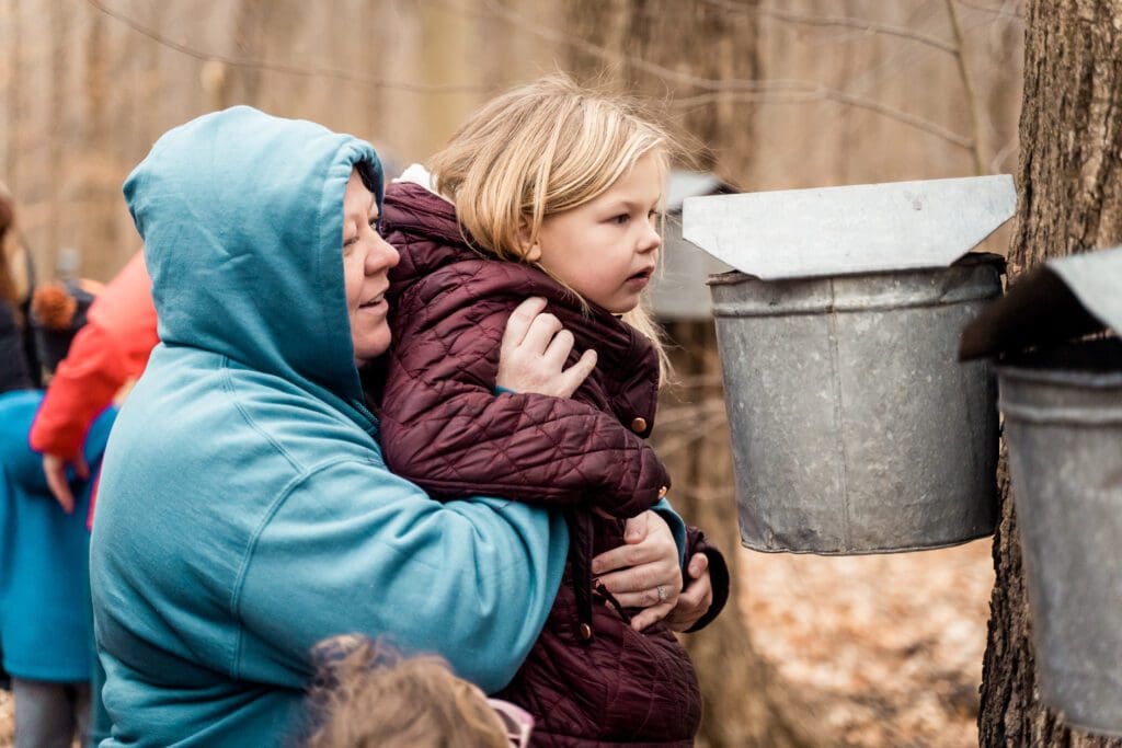 A child and an adult observing the process of maple sap collection from a tree at the Hueston Woods Maple Syrup Festival.
