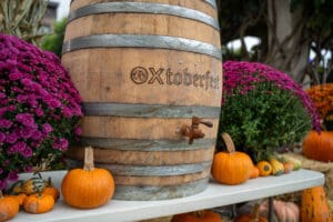 OXtoberfest wooden barrel centered with purple mums and mini pumpkins