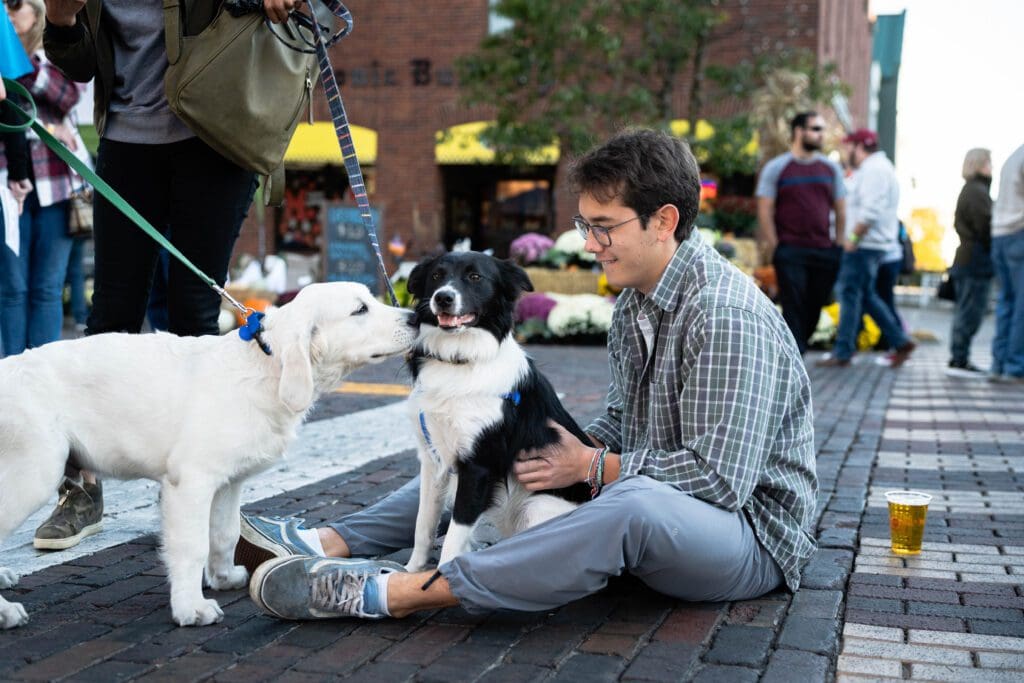 Young man sitting on the street petting two dogs