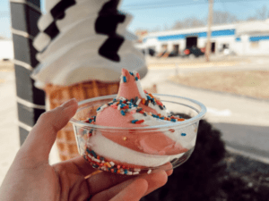 A person holding a cup of ice cream with sprinkles in it.