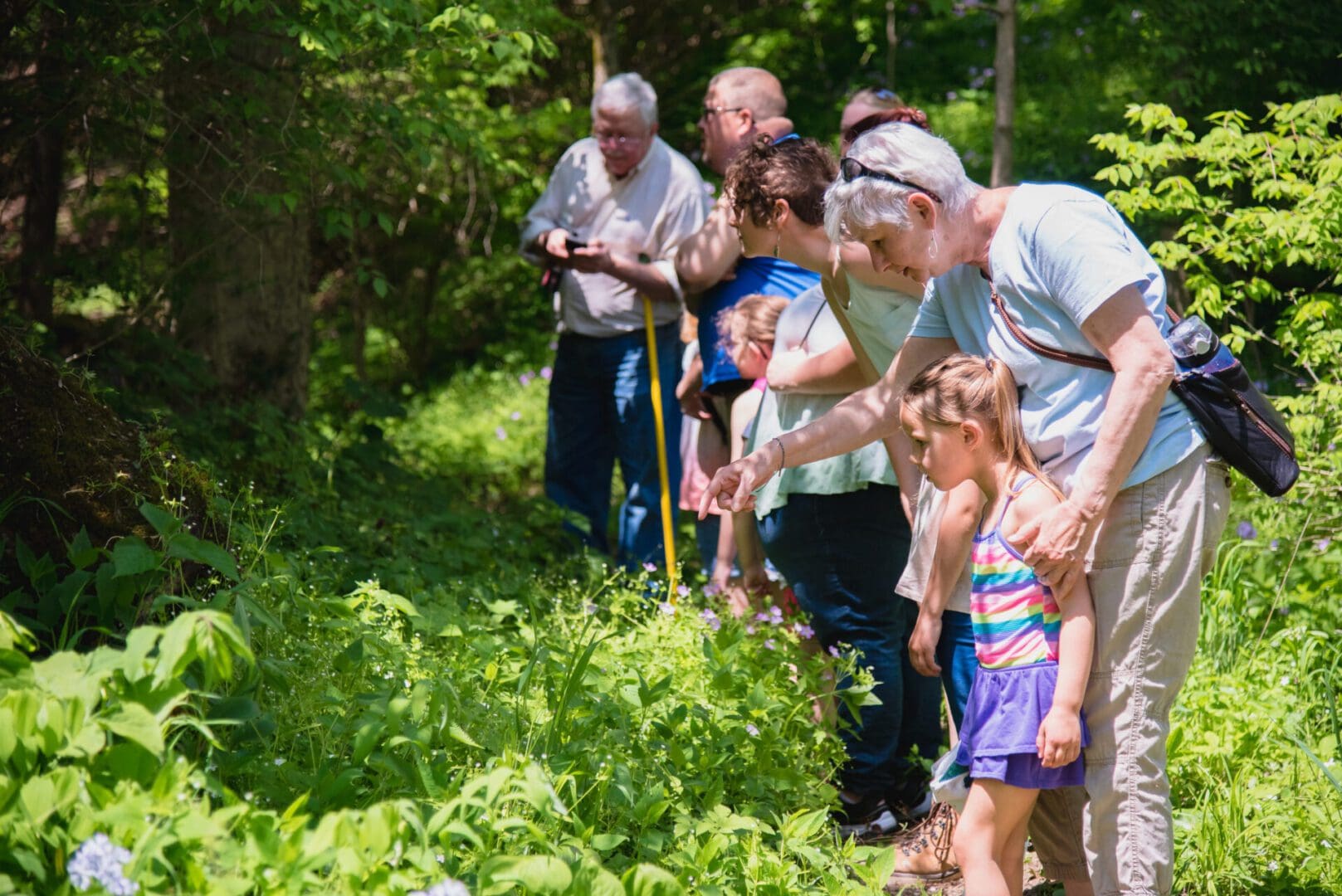 A group of people standing around in the woods.