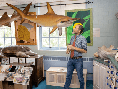 A man standing in front of a fake shark.