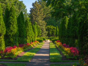 A path in the middle of a garden with trees and flowers.