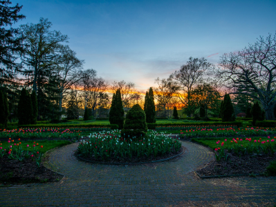 A garden surrounded by trees and bushes during sunset.