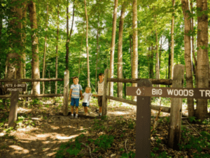 Three people standing in a forest near a wooden fence.