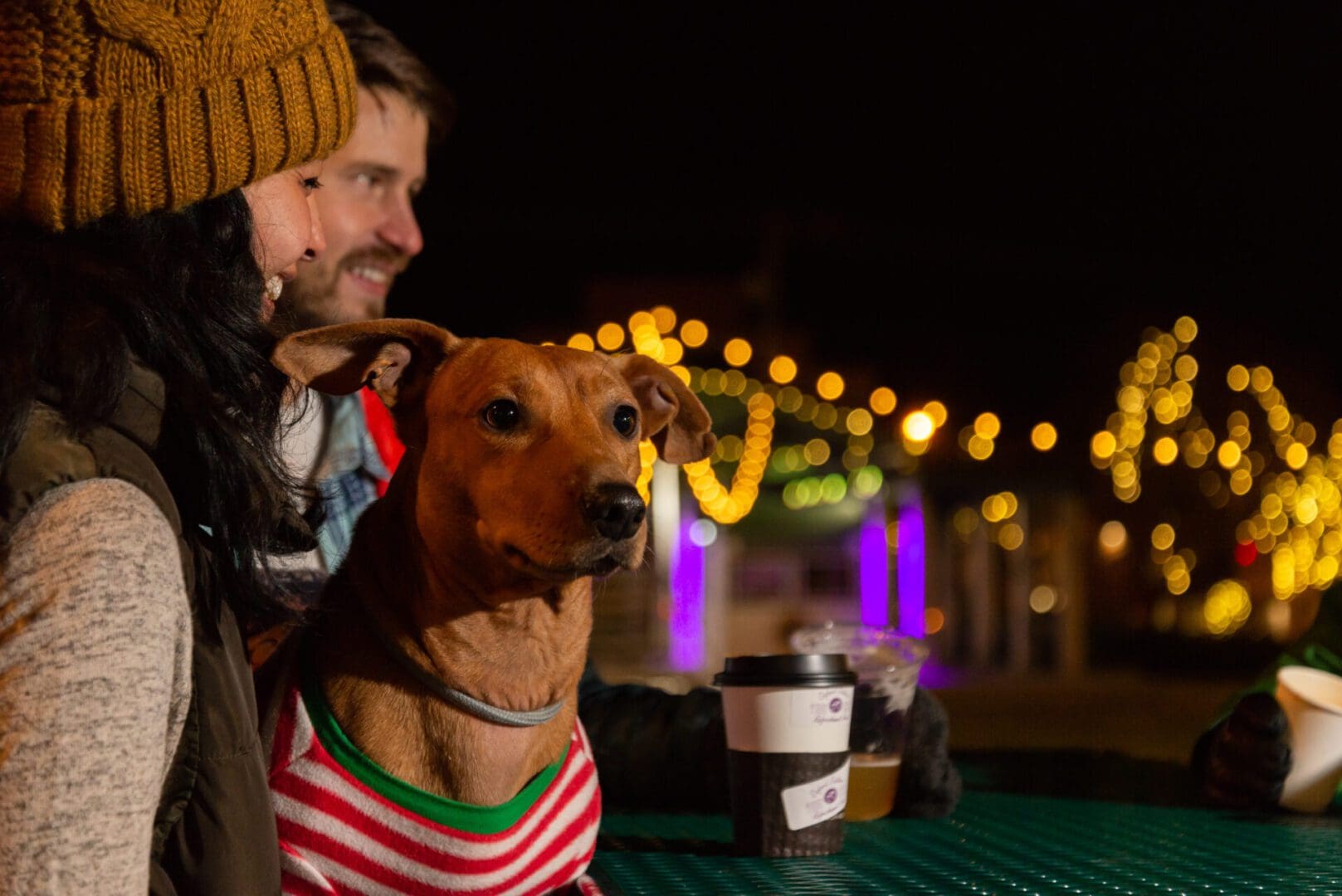 Couple and dog in front of christmas lights