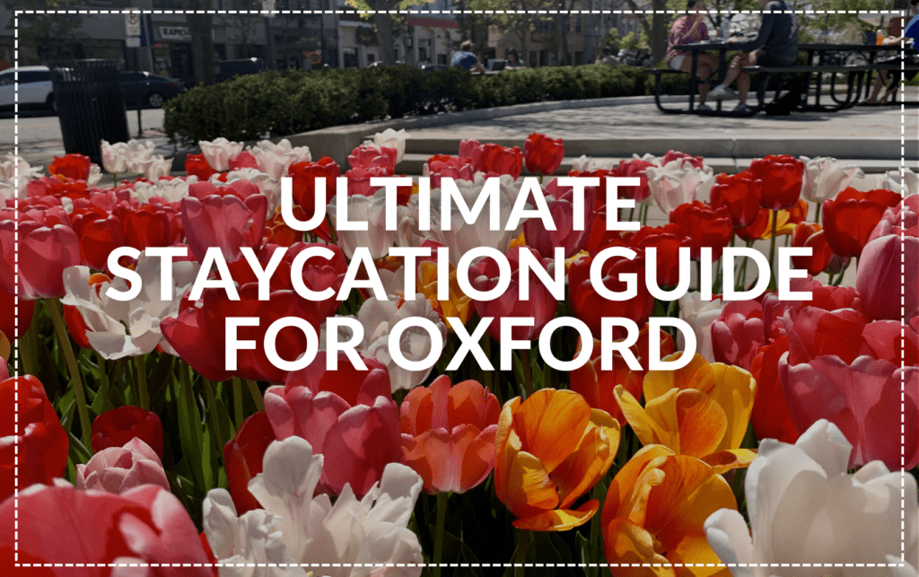 A colorful display of tulips with text overlay reading "Ultimate Staycation Guide to Oxford Ohio.