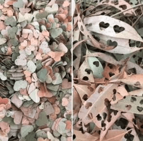 A photo of hole punched dead leaves to make biodegradable confetti