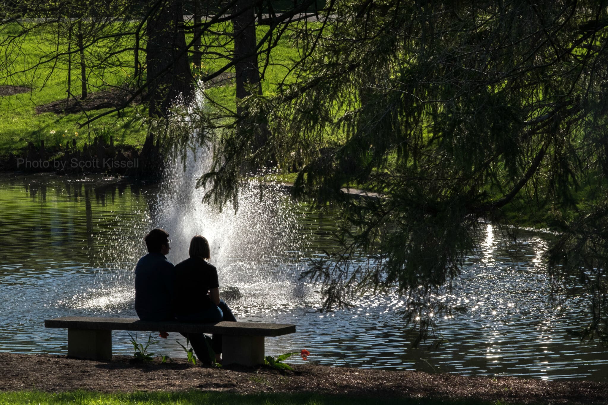 Couple silhouetted on bench by fountain.