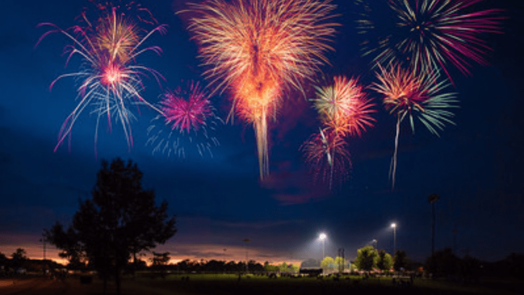 Colorful fireworks display over field at night.