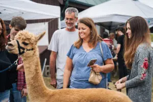 Family petting an alpaca at the Hueston Woods Apple Butter Festival