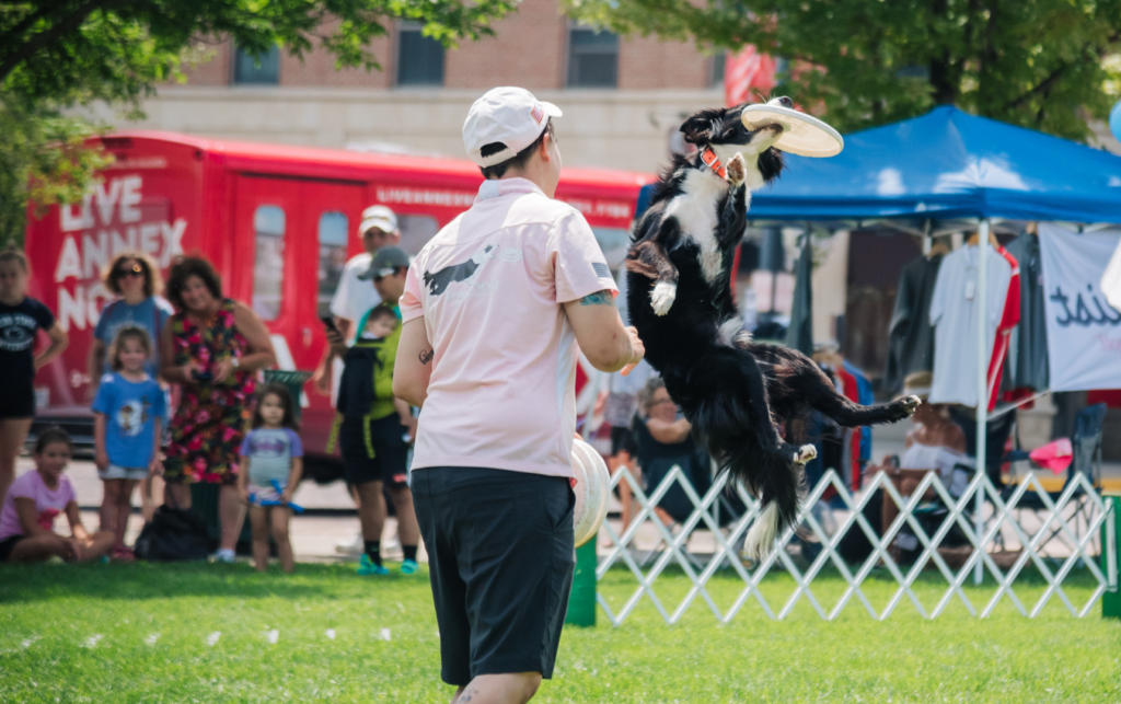 Dog catched a frisbee mid-air in front of a crowd of people