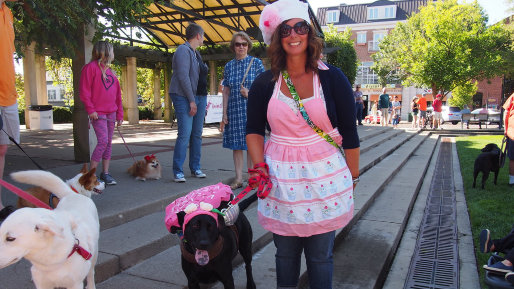 Woman in cupcake costume with dogs.
