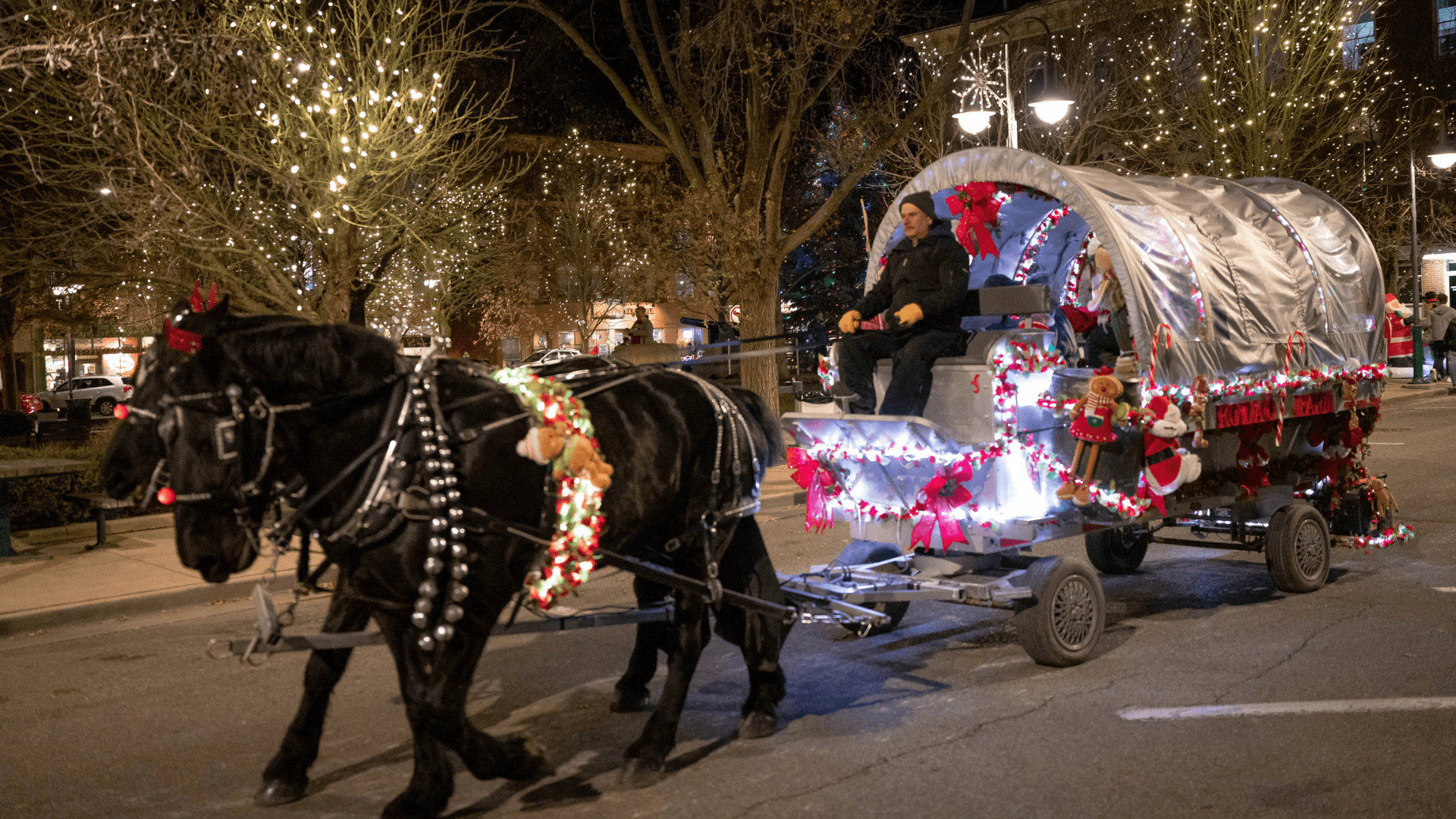 A black horse walking with a lighted carriage in Uptown Park