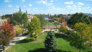 Uptown Dr. Martin Luther King Jr. fall foliage looking at the pavilion