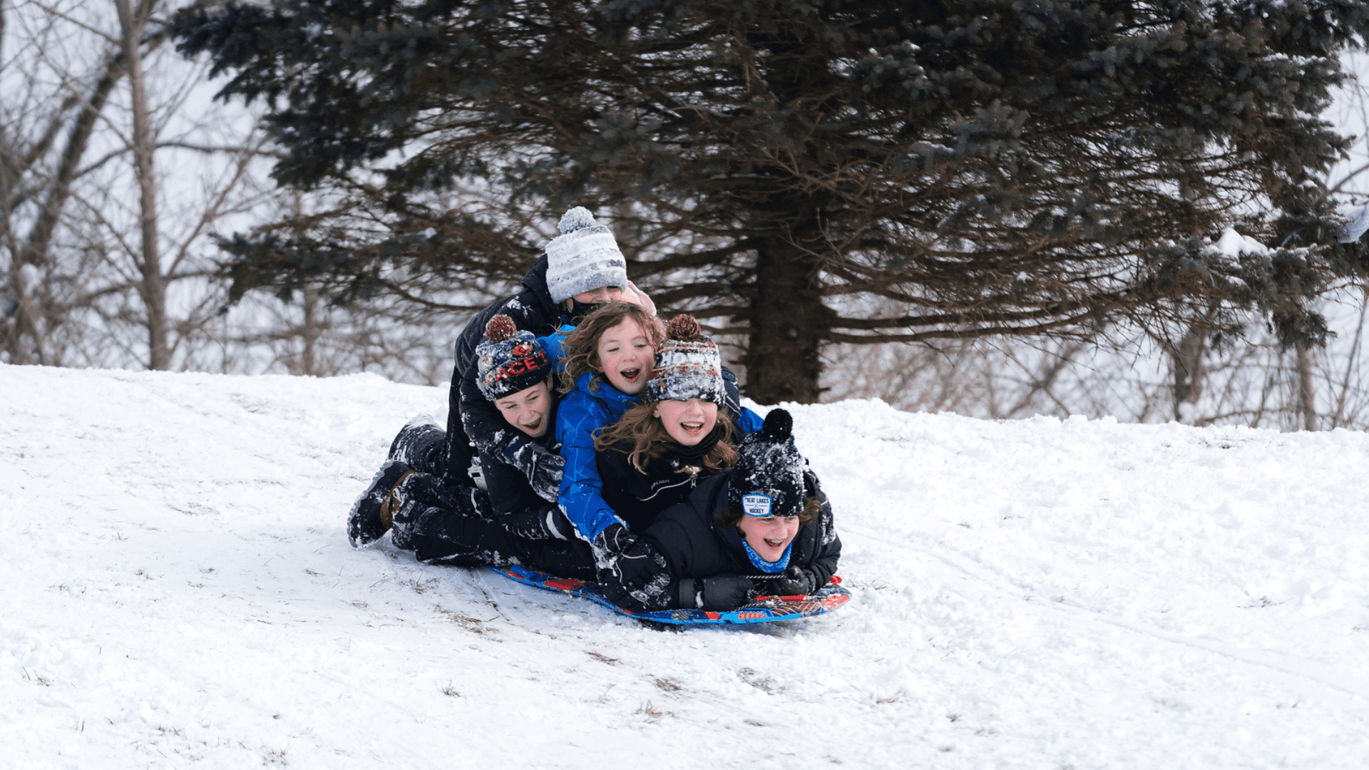 A group of five people sledding down a hill together