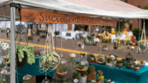 A vendor booth of succulents with a wooden sign reading Succulent Garden Gifts