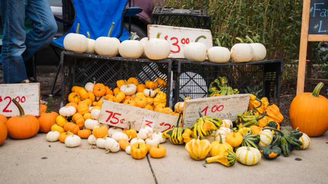 Various sized pumpkins for sale at the Oxford Farmers Market with price signs