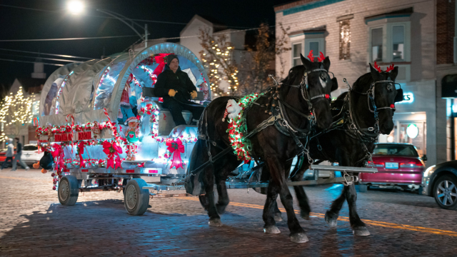 Horses pulling a covered wagon carriage at Holiday Fest on the brick street.