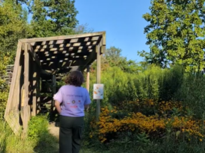 Birdblind entrance with native flowers outside.