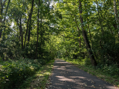 Paved path under a tree tunnel on the Oxford Area Trails