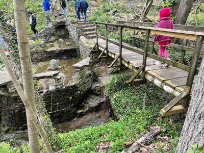 Wildflower walk over the bridge at the Silvoor Biological Sanctuary trail