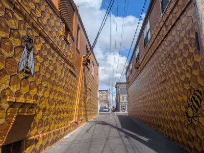 Alley with honeycomb and bee murals.