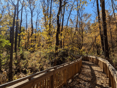 The Ruder Preserve ADA boardwalk