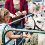 A young woman hand feeds a llama.