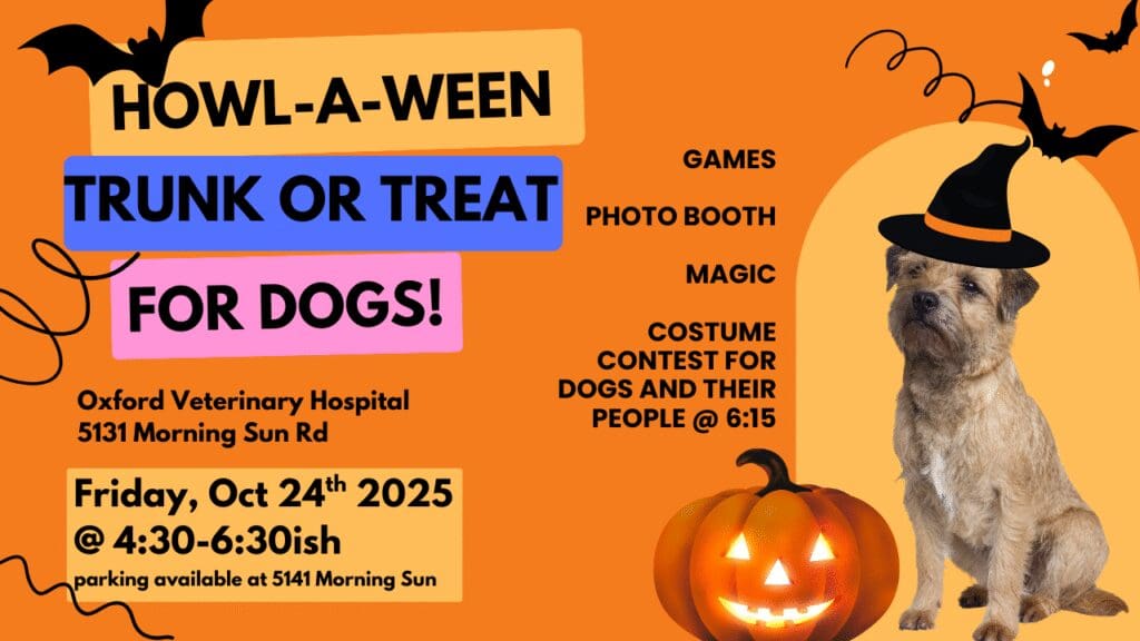 Howl-A-Ween Trunk or Teat for dogs! Oxford Veterinary Hospital 5131 Morning sun Rd Friday, Oct 24th 2025 @ 4:30-6:30 parking available at 5141 Morning sun Rd (Games Photo booth, Magic, Costume contest for dogs and their people at 6:15 pm)