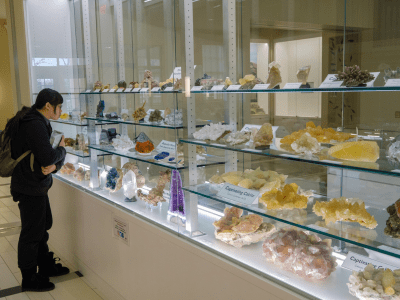 Patron looking at the shelves of multicolored gem stones and clusters of crystals