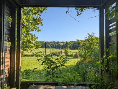 inside of the bird blind looking out towards the pollinator garden