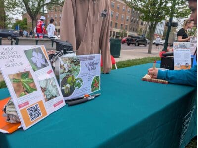 Wildflower Walks table