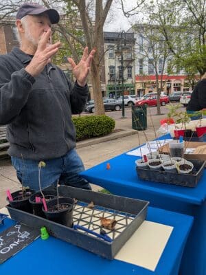a person giving away free saplings and talking about trees