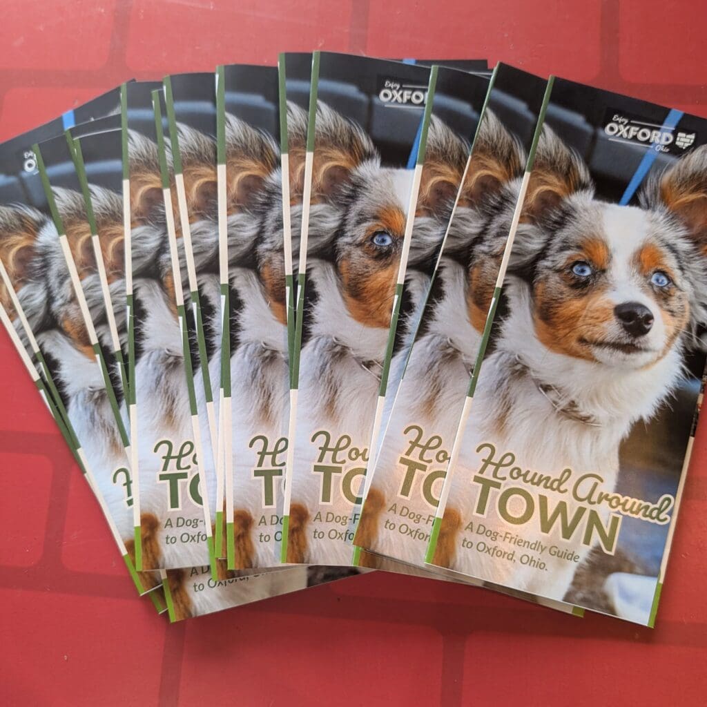 Brochures with dog on red table.