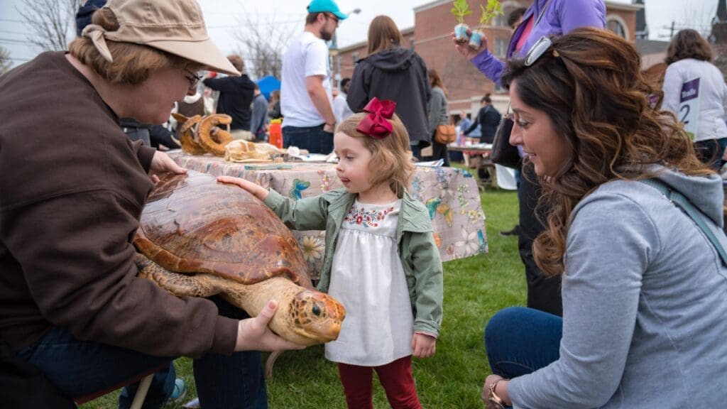 A student holding a taxidermy turtle for a child to pet.
