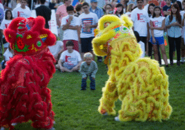 Red and yellow lion dancers perform.