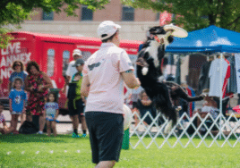 Dog catched a frisbee mid-air in front of a crowd of people