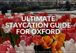 A colorful display of tulips with text overlay reading "Ultimate Staycation Guide to Oxford Ohio.
